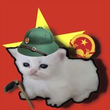 Đỗ Đắc Thọ