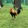 LA GAMEFARM