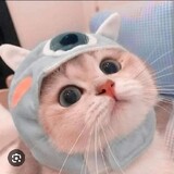 Tuyền Kim_6922