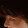 miss.chen_02