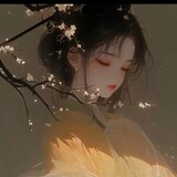 xiaowuqiying