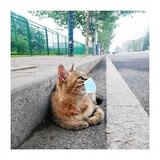 xiaochuang___