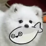 daeuwu