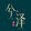 xizedinghua