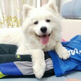 xiaonizainongcun