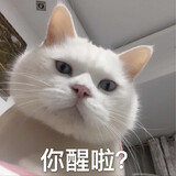 genglaoqian