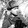 don_johnson