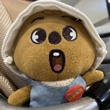 Huỳnh Phan Thị Cúc