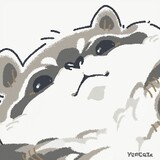 blitzes