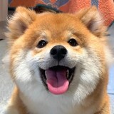 canyueyudie