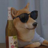 daoliquwo-