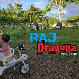 RAJ-Dragona-MiniFarm