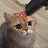 youyulengse