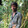 Md Sumon_1696