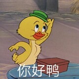 xiaoxiaoxiaoyuezii