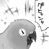 bingkuaiyufutejia