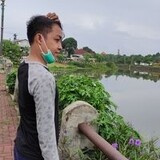 Ady Mahesa