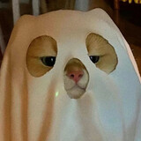 luluxxn