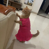 _____anyi