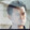 chesshi_01