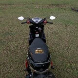 arasapphira