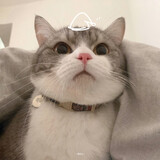 buzhimingwangyoutian