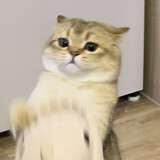 xiakebiezou__