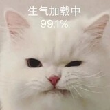 meili___1