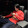 liang-vlog