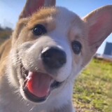 Recca Hanabishi_8416