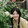 -yusongsong-