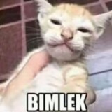 Bimlek