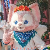bujibenbu