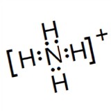 nh4shiyanshi