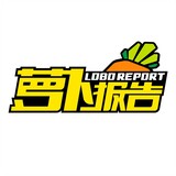luobobaogao