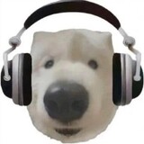 jibeidehuidaoshu