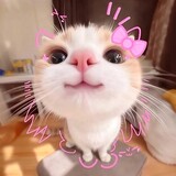 火.EUNOIA.ゆのや