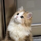 samleeeei_02_01