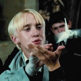 sweetdraco