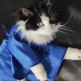 zhiyu-