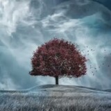 Siti Raihana Analisa