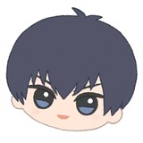 reniangaofufubing