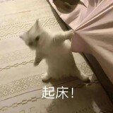 himekari_04