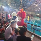 dianzizhacaitegong