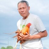 dodong_ulyapog24