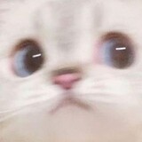 hjktg