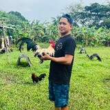 jdsvintagefarm