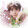 neo_ct