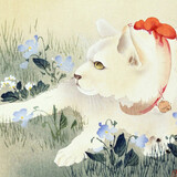 kamishi_04