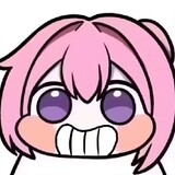 chaocarrydeaqi
